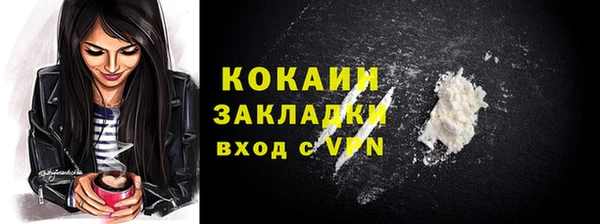 ПСИЛОЦИБИНОВЫЕ ГРИБЫ Абаза