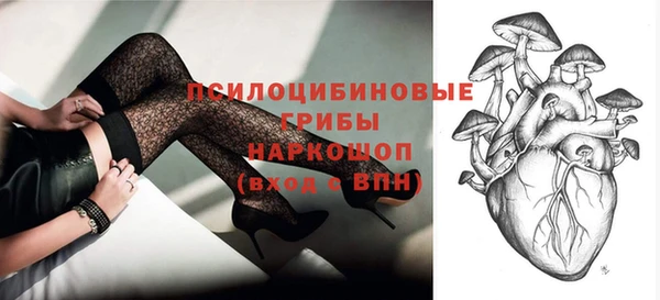 ПСИЛОЦИБИНОВЫЕ ГРИБЫ Абаза