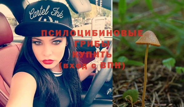ПСИЛОЦИБИНОВЫЕ ГРИБЫ Абаза