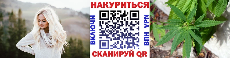 Бошки Шишки гибрид  Болохово 